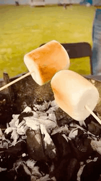 GIF-2026-05-23-19-43-36.gif