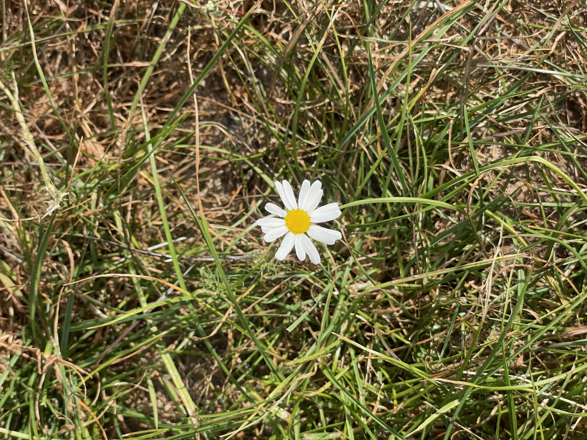 IMG_2280.jpeg